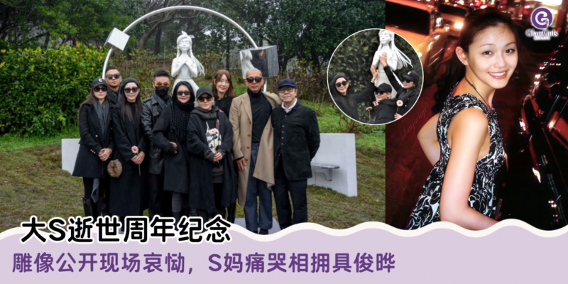 大S逝世周年纪念