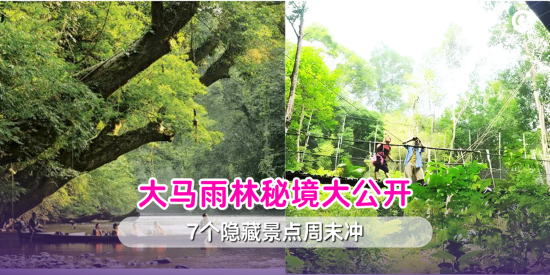 大马雨林秘境大公开
